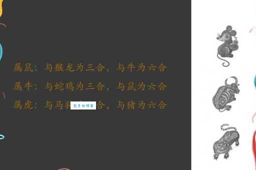 揭秘：三分天下究竟是哪个生肖？让你大吃一惊！