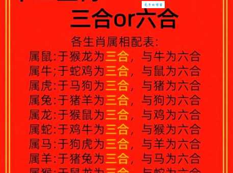三言两语是什么生肖？答案揭晓，快来猜猜看！