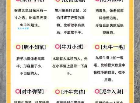 “不弃草昧”代表什么生肖？详解生肖与成语寓意