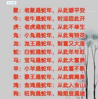 “不弃草昧”代表什么生肖?详解生肖与成语寓意
