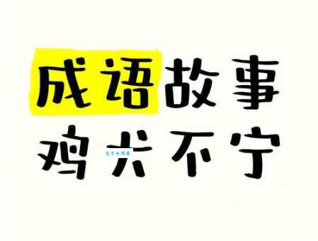 解谜：鸡犬不宁究竟指的是哪个生肖动物？