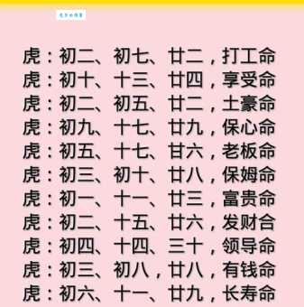老谋深算是什么生肖？虎、龙、蛇哪个更符合？