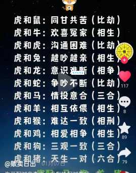 老谋深算是什么生肖?虎、龙、蛇哪个更符合?