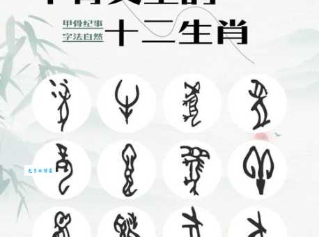 晋阳之甲代表哪个生肖？你猜对了吗？
