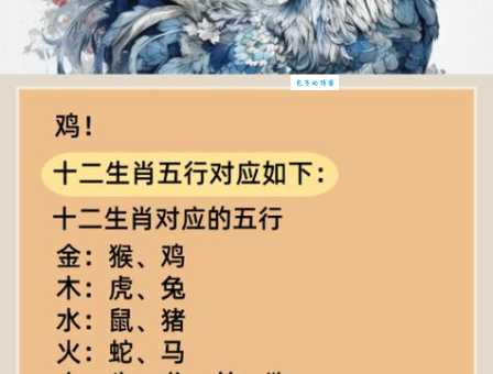 绝地反攻打一生肖指什么意思？是狗还是龙？
