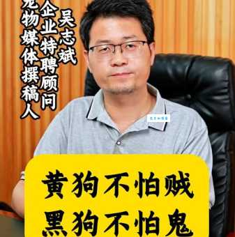 安身之狗代表什么?揭秘古代命理学中的含义