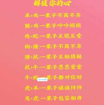 爱礼存羊是指什么生肖?解析生肖鼠和鸡的含义
