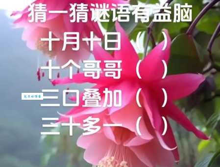 经典字谜:十个哥哥打一字,揭秘答案及解析!