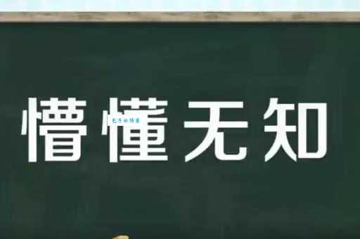 痴呆懵懂是什么意思?详解成语痴呆懵懂的含义