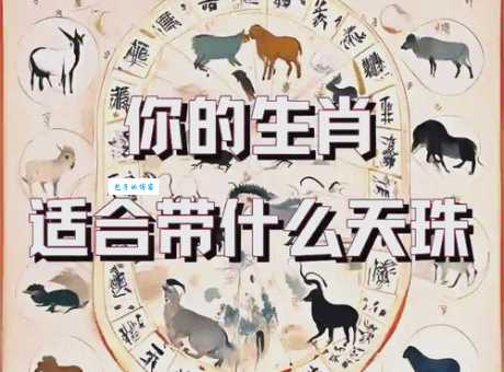 你知道暗藏玄机指的是哪个生肖吗?详解生肖背后的秘密