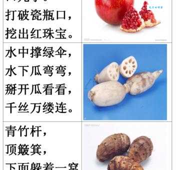 白床铺黄帐子植物谜语,你猜得出是什么吗?
