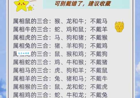 目光如豆指的是哪个生肖动物？揭秘目光如豆生肖的秘密