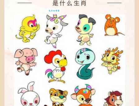 神勇无比一生肖,你心中最佳人选是谁?