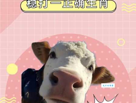解谜：一步登天，指的是哪种生肖动物？