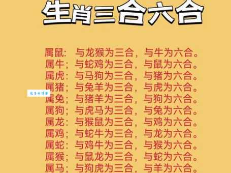 三教九流打一生肖是什么动物？答案揭晓！