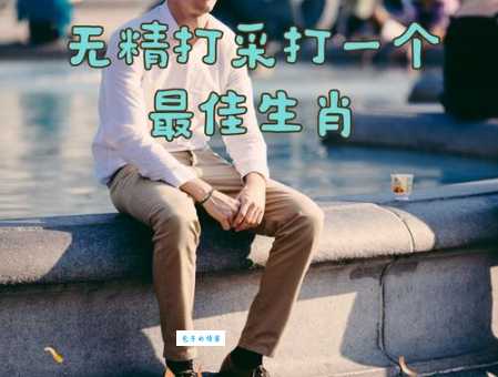 摩拳擦掌打一正确答案：究竟是哪个生肖？