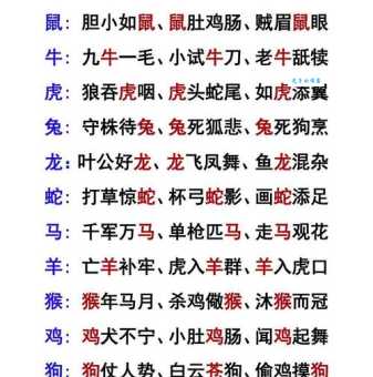 哪个生肖动物最秀外慧中？揭秘最符合的生肖动物是谁