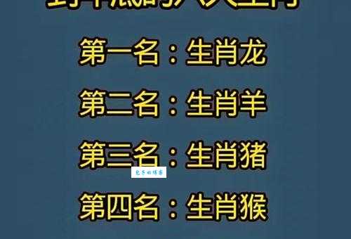 解读职行天下与生肖的秘密,节目名称背后的生肖含义是什么?