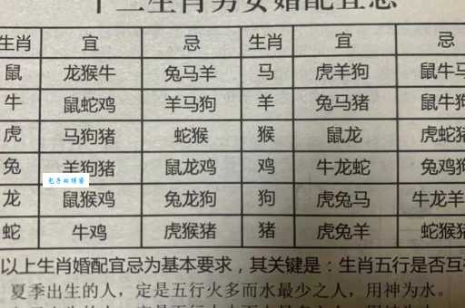 解读职行天下与生肖的秘密,节目名称背后的生肖含义是什么?