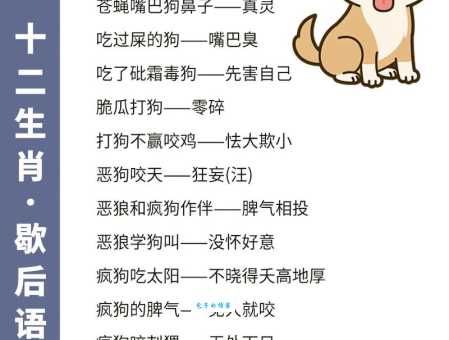 百爪挠心是哪个生肖?详解生肖与成语的关联