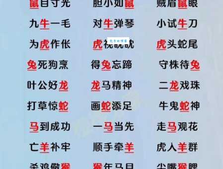 百爪挠心是哪个生肖?详解生肖与成语的关联