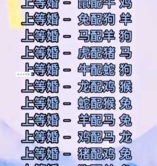 胆大包天?看看十二生肖谁最勇敢!