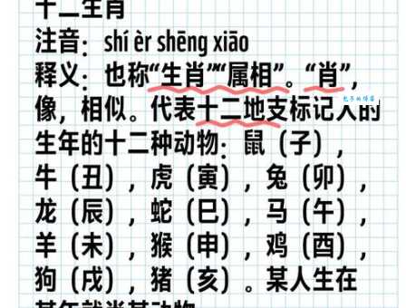 江南地名吴头楚尾，对应哪个神秘生肖？
