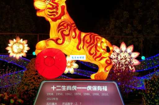 解密火树银花：它在十二生肖中代表哪个？