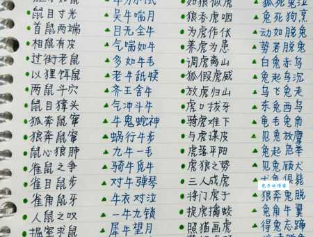 哪个生肖最符合树大根深?深度解析生肖与成语的关联