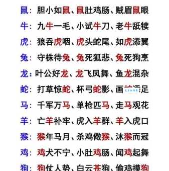 共贯同条指的是哪个生肖？揭秘成语背后的生肖故事