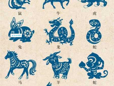 笔枪纸弹是哪个生肖?这几个生肖都沾边!