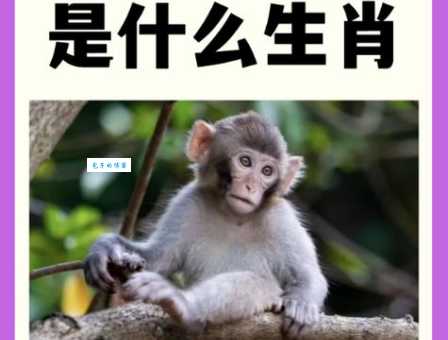 “贼走关门”代表什么生肖?多种答案引热议!