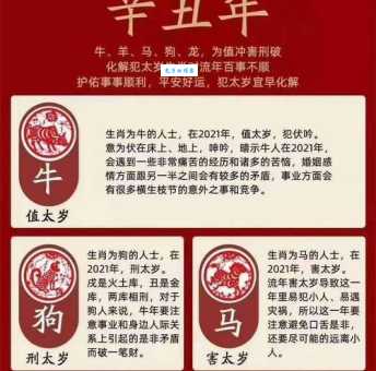 解密直入云霄代表的最佳生肖,你猜对了吗?