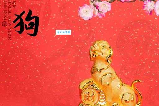 解读地动山摇生肖之谜,看看你是否知道答案