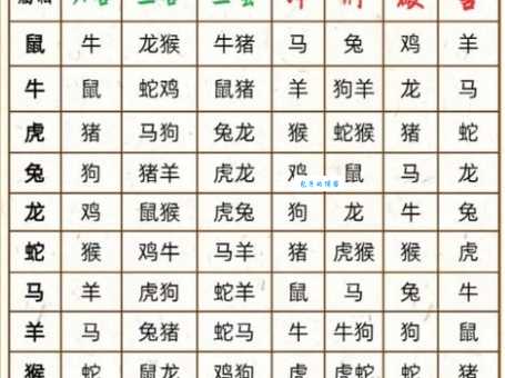 到底是什么生肖首当其冲？文化解读与生肖排名