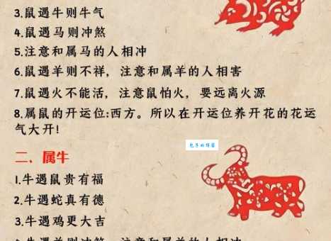 到底是什么生肖首当其冲？文化解读与生肖排名