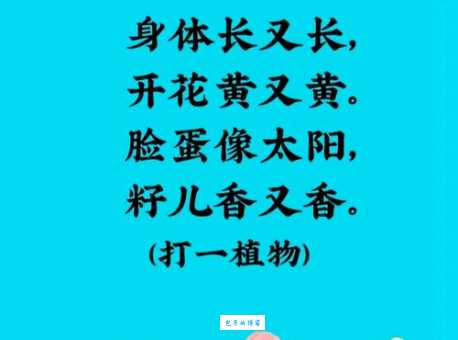 简单字谜：巾帼打一字，猜猜看是什么字？