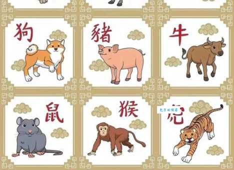 解密生肖谜语：五谷不分代表哪个数字？