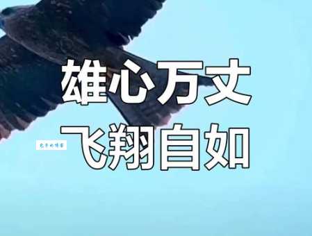 雏鹰展翅是什么意思？深度解析其象征意义和用法