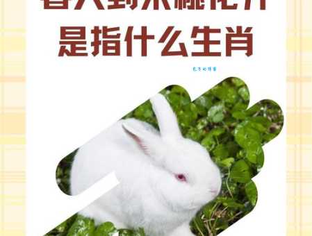 解读“随意一瞥”生肖之谜，你猜对了吗？