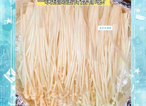 金针菇根再生秘诀:在家轻松种植金针菇的完整指南