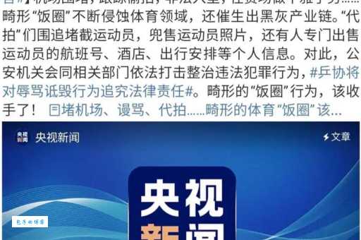 你真的了解饭圈文化吗?全面解析饭圈文化及其社会影响