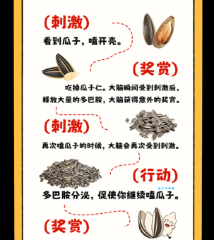 为什么嗑瓜子会上瘾?从口感到心理,深度解析瓜子成瘾机制