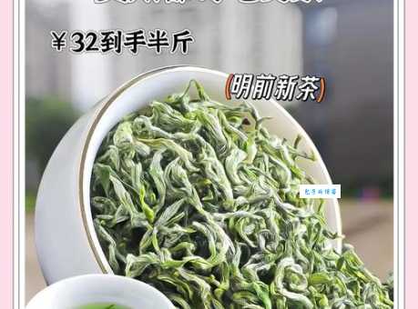 毛尖茶怎么喝才好喝?水温、茶叶用量及步骤