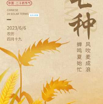 芒种节气：含义及农业生产中的重要性