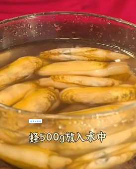 蛏子家常做法步骤图解,新手也能快速学会