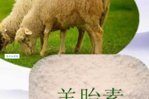 羊胎素梗:明星恩怨还是网络玩笑?一文揭秘真相