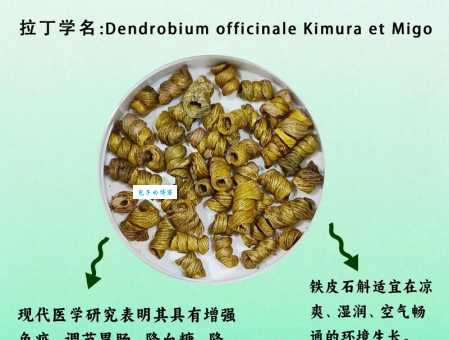 斛珠是什么意思?深度解析斛珠的含义及用法