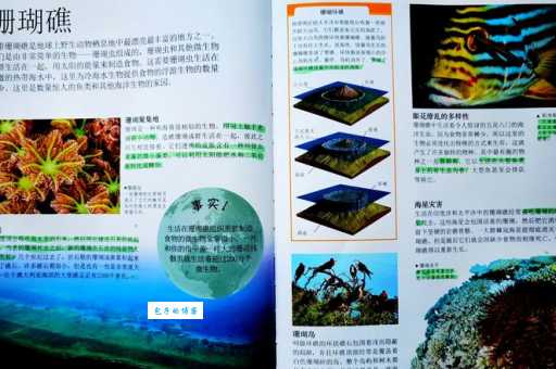 想了解岛与礁的区别？这篇科普文章不容错过
