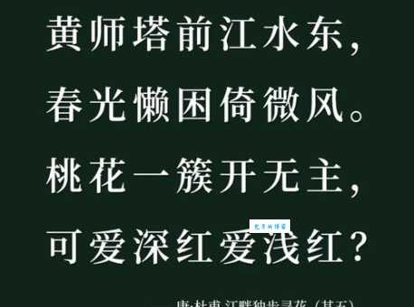 解读杜甫名篇:江畔独步寻花中的精彩对偶句赏析